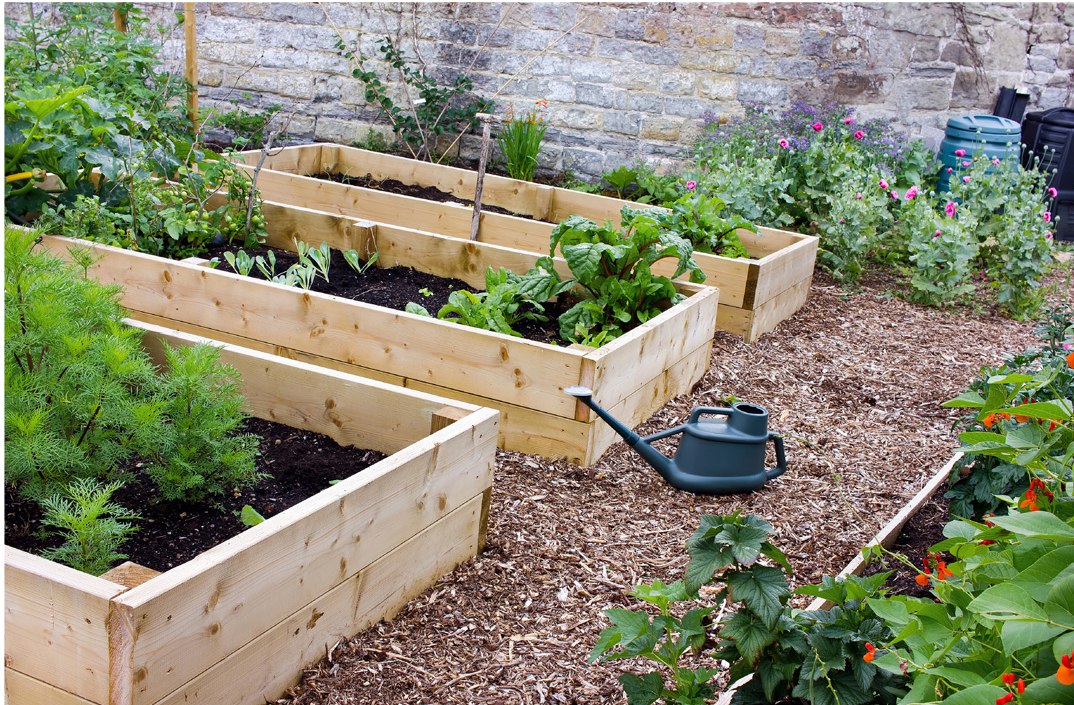 raised garden bed material