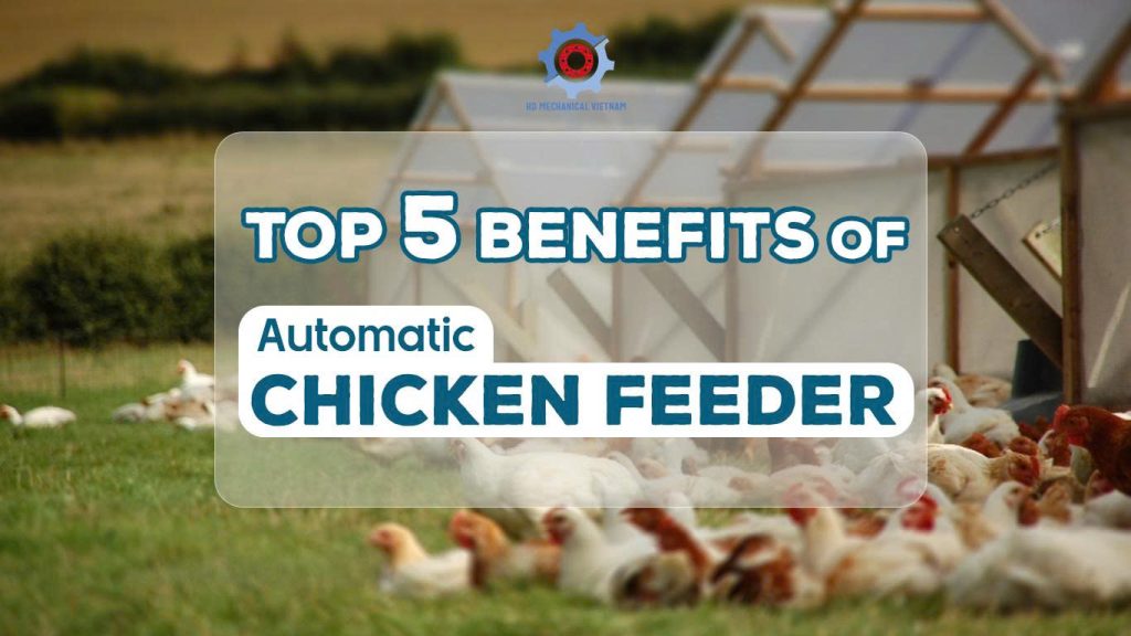 Automatic-Chicken-Feeder-Top-5-Benefits-for-Commercial-Poultry-Farms